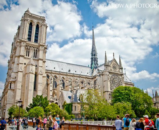 Notre Dame (To jedna z tych katedr , która rozpoznawana jest zawsze i przez wszystkich, jest również jedną z najpiękniejszych jakie widziałem i znam)